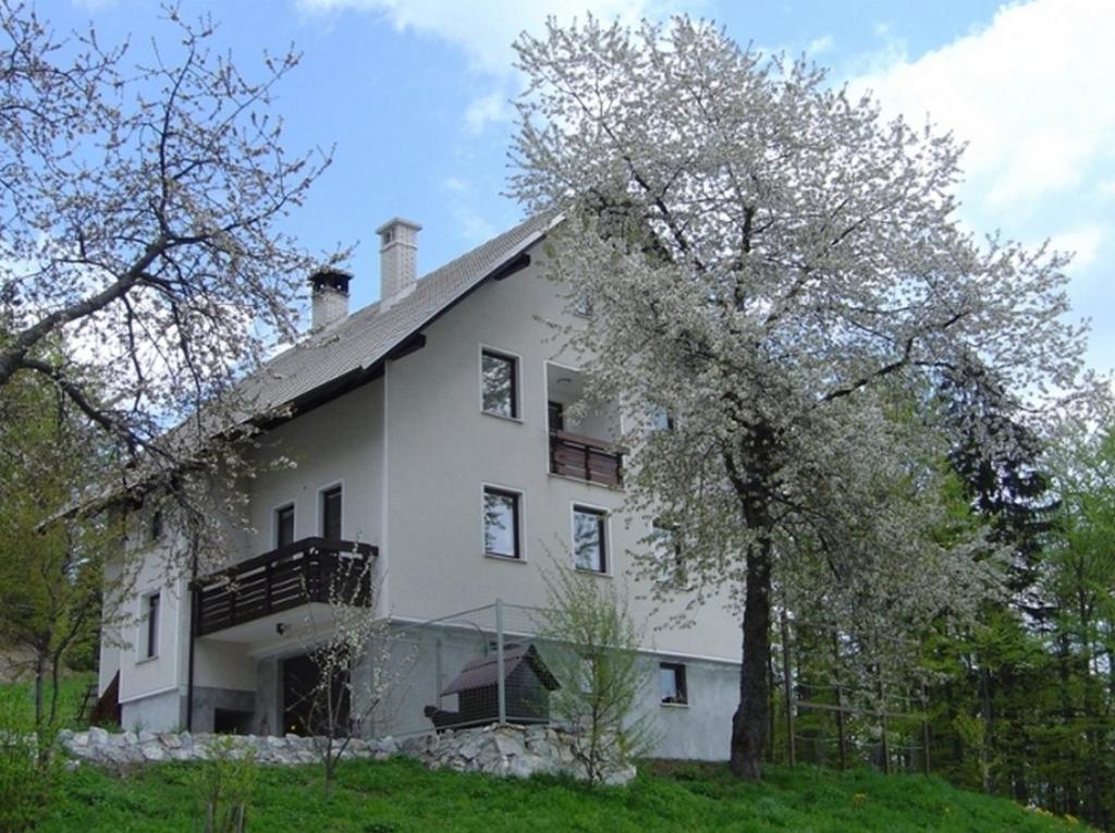 Apartments Pri Marjetki Cerkno Bagian luar foto
